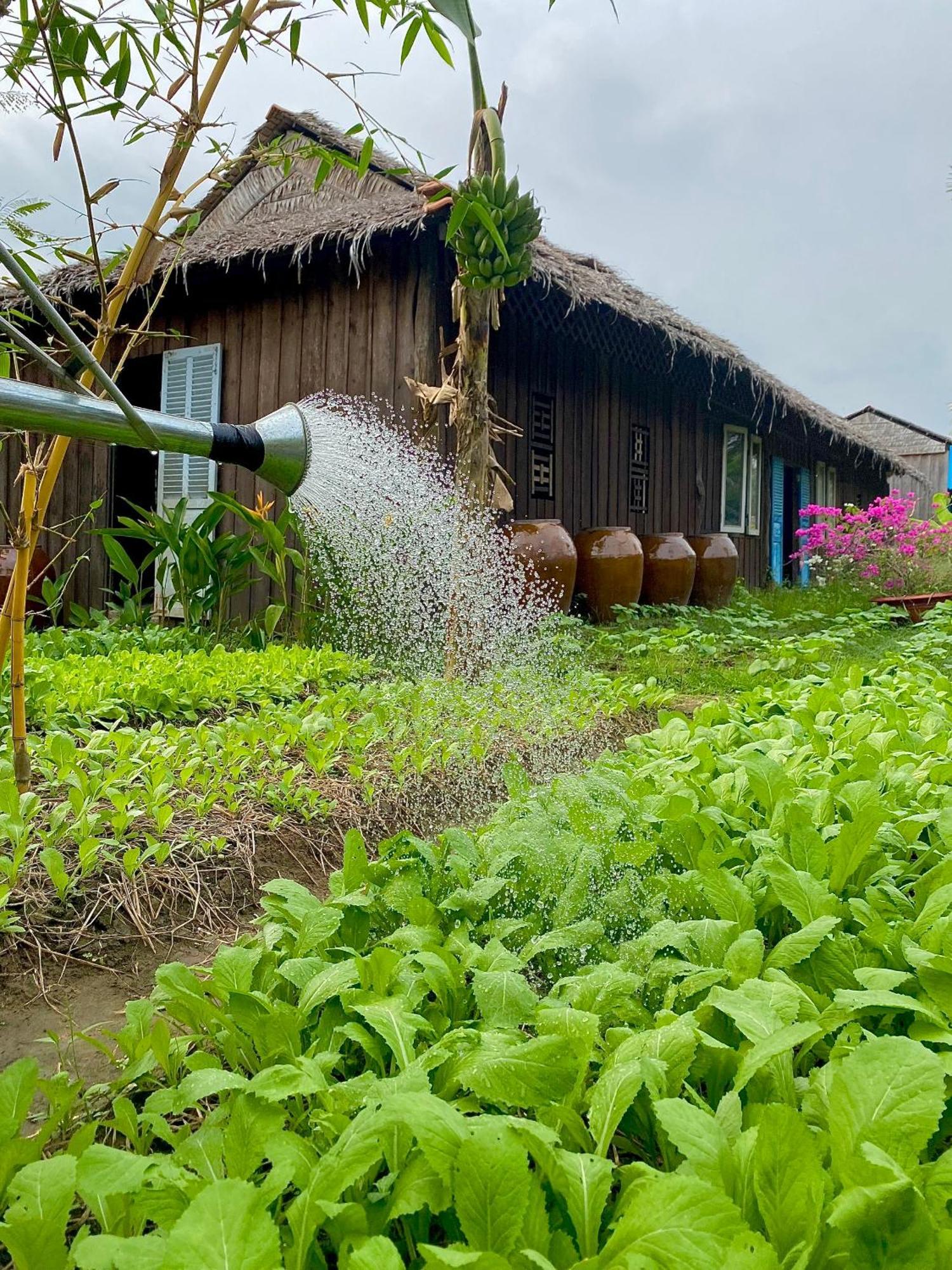 Mekong Silt Ecolodge Can Tho Dış mekan fotoğraf