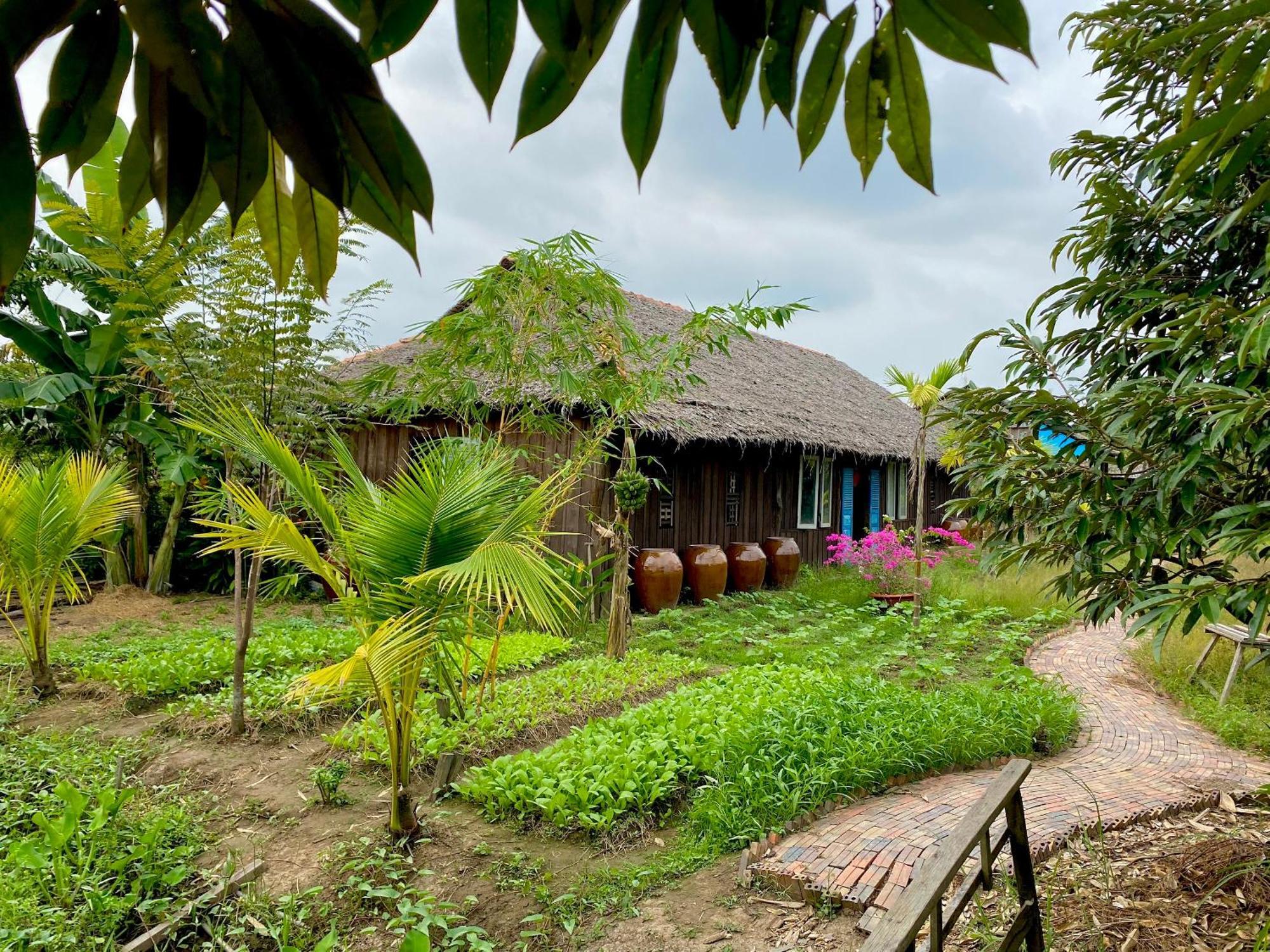 Mekong Silt Ecolodge Can Tho Dış mekan fotoğraf